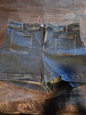 LOFT Dark Blue Denim Jean Shorts